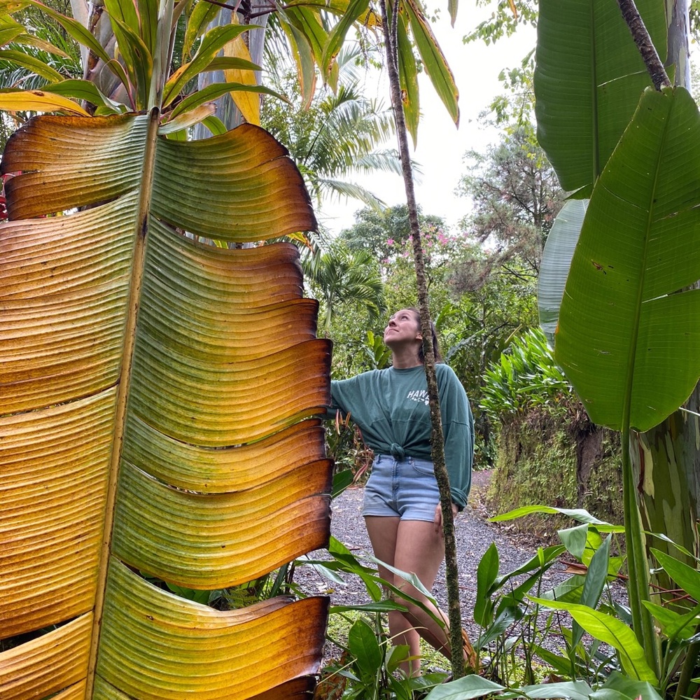 Meet your Posher, Alyssa